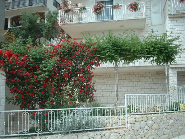 Lana Apartments Trogir Bagian luar foto